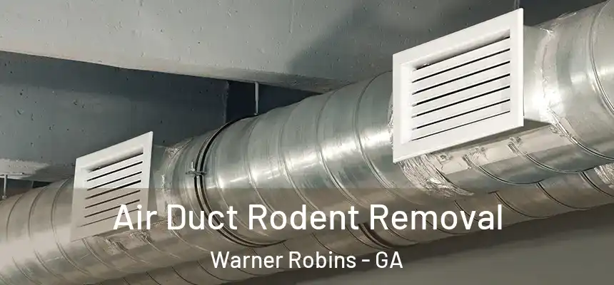  Air Duct Rodent Removal Warner Robins - GA