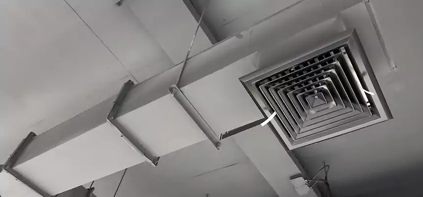 Our Rodent Droppings In Vents Services in Warner Robins, GA