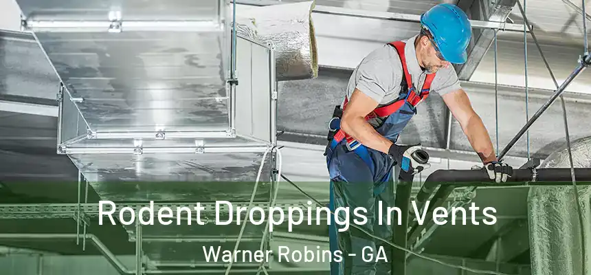  Rodent Droppings In Vents Warner Robins - GA