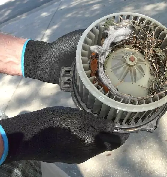 About Air Duct Rat Removal in Warner Robins, GA