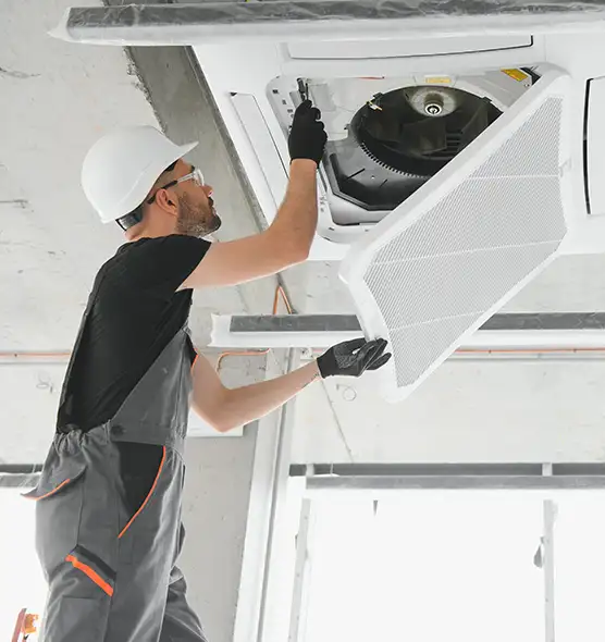 About Air Duct Rodent Removal in Warner Robins, GA