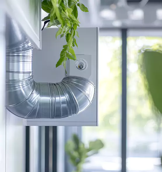 Professional Eco-Friendly Duct Cleaning Services in Warner Robins, GA