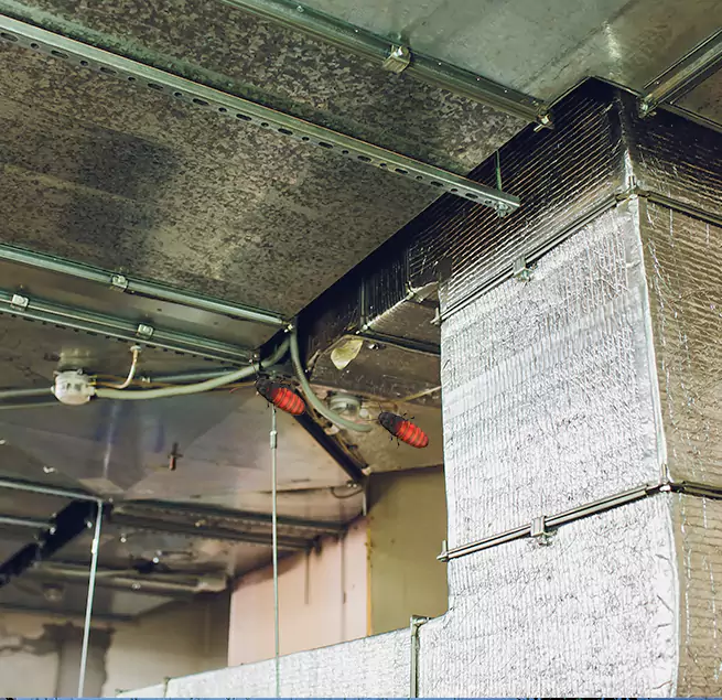 Why Homeowners & Businesses Trust Us in Warner Robins, GA?