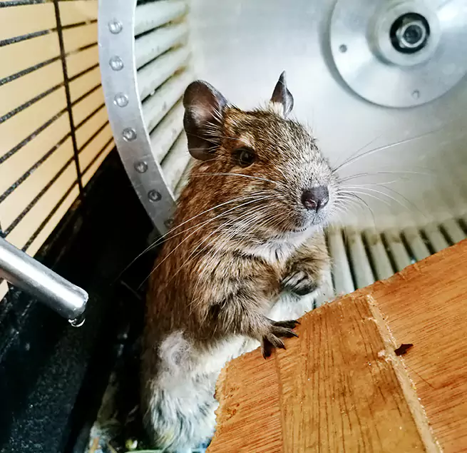 Why Homeowners & Businesses Trust Us Warner Robins, GA?