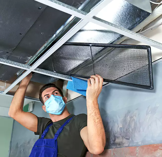 Why Homeowners Businesses Trust Us in Warner Robins, GA